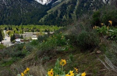 View of Ketchum's Light Industrial District