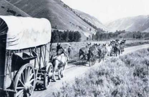Historic Photo of Wagons