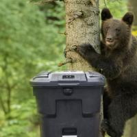 Wildlife-resistant cart