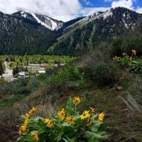 View of Ketchum