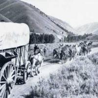 Historic Photo of Wagons