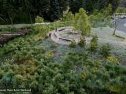 WSP beaver overlook