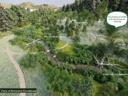 WSP paths
