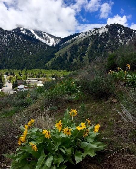 Planning Building City of Ketchum Idaho
