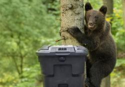 Wildlife-resistant cart