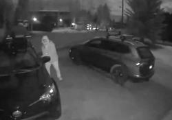 Car thief